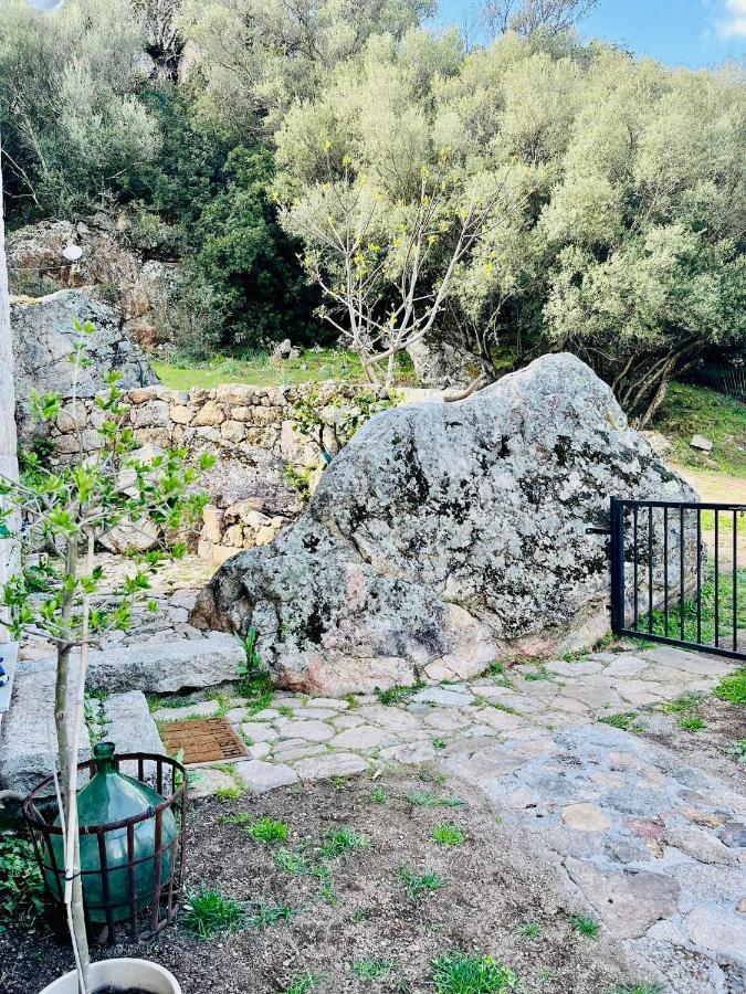 Maison de campagne, deux chambres, vue sur les montagnes Sartène Extérieur photo