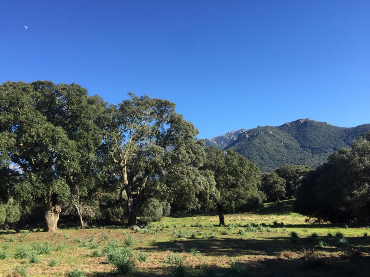 Maison de campagne, deux chambres, vue sur les montagnes Sartène Extérieur photo